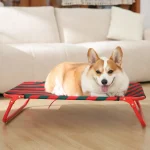 letto per cani pieghevole rialzato oem