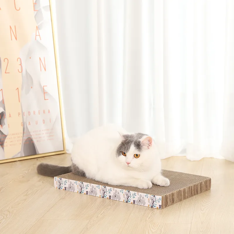 Riffelkissen-Kratzer