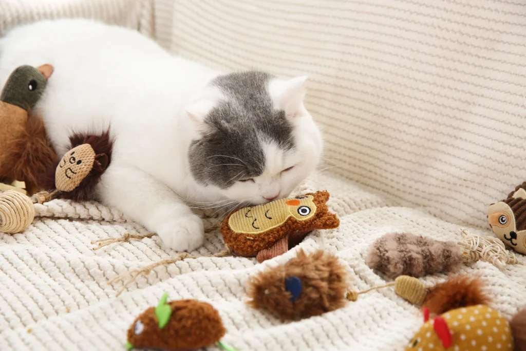 giocattoli per gatti