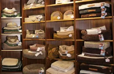 camas personalizadas para mascotas