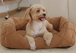 pet bed