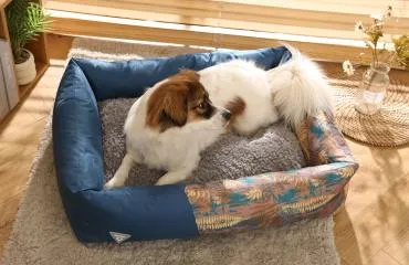 cama para mascotas cama para perros