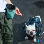 Poop Bag Dispenser