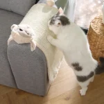 gratte-pattes pour chats en vrac