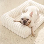 bulk orthopedic dog beds