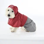 Warm dog raincoat