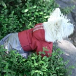 dog raincoat red