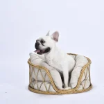 eco friendly pet bed