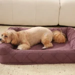 luxury and comfortable cat beds