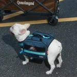 harnais tactique pour chien, à utiliser en extérieur