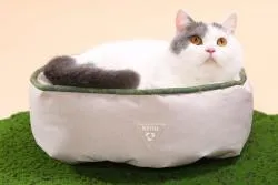round cat bed