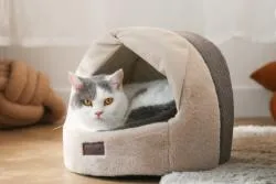 self-warming cat bed