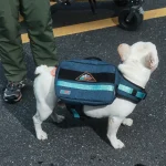 harnais tactique pour chien avec sac