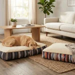Salle d'exposition de canapés, divans et lits orthopédiques en peluche pour chiens