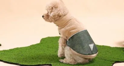 Abbigliamento ecologico