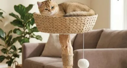 Mobili Eco Cat
