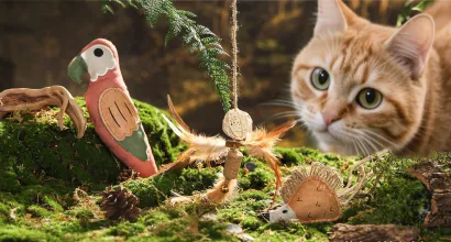 Giocattoli ecologici per animali domestici