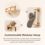High Quality Cat Furniture function detail