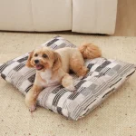 Pet Couch Bed Cushion dog on