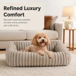 Top Dog Beds dog show