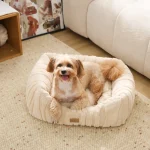 bloster pet bed manufacturer