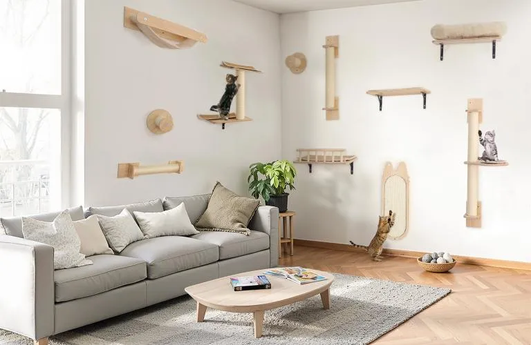 pet furniture trends