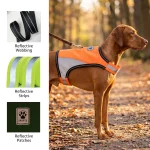 Reflective Outdoor Dog Apparel Manufacturer intro