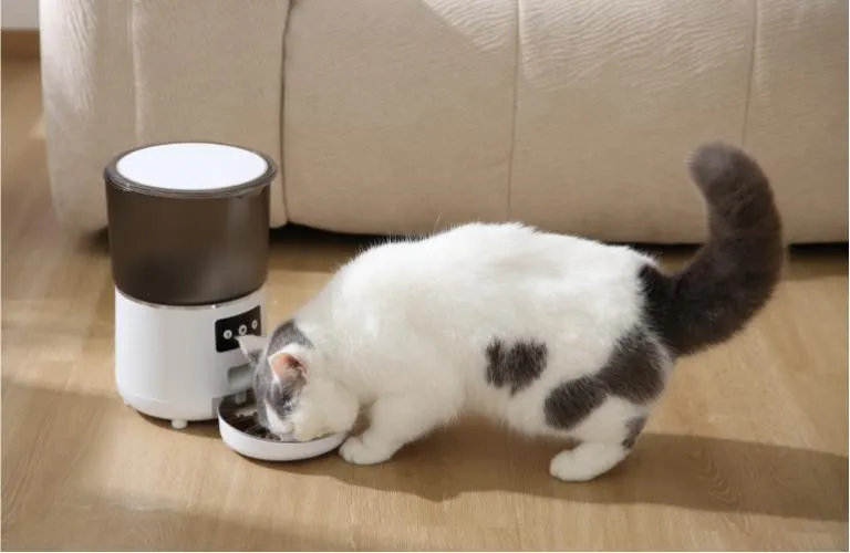 スマート給餌