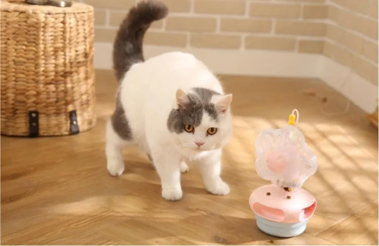 スマートなインタラクティブおもちゃ