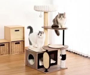 cat tree & furniture
