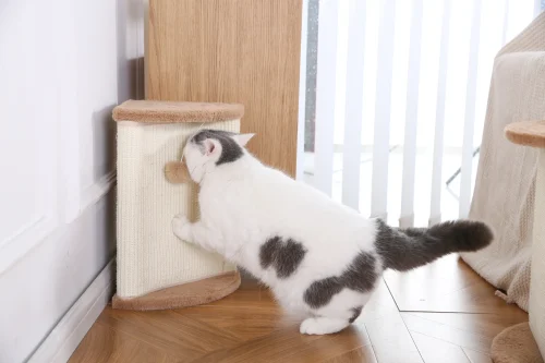 3-in-1 Assembled Cat Scratching Post
