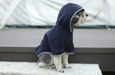 Groothandel Regenjassen voor honden