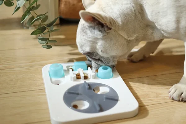 Hundespielzeug aus Plastik