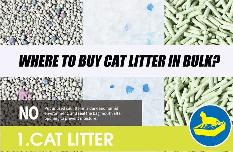 Where to Buy Cat Litter in Bulk