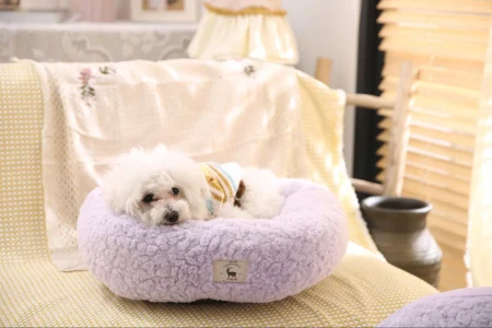 boucle dog bed