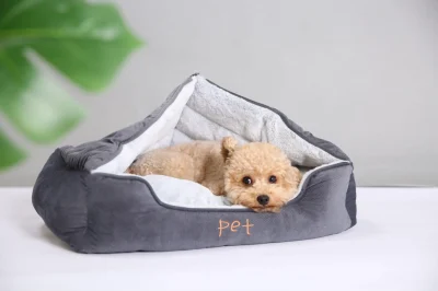 cama toca para cães