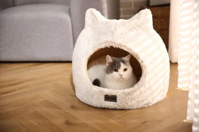 cuccia per cani con tana