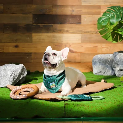 bandana personalizada para cachorro pet