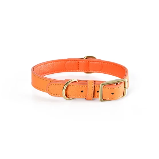 op maat gemaakte lederen halsband hond