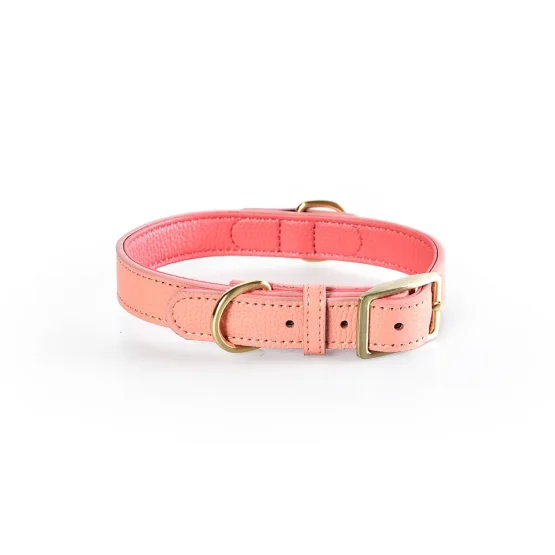 leren hondenhalsband