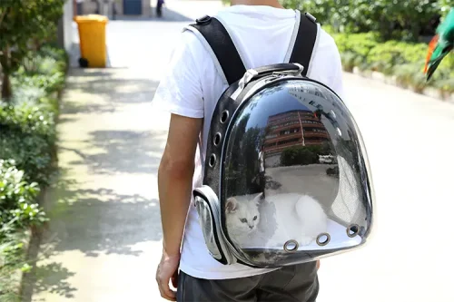mochila para animais de estimação